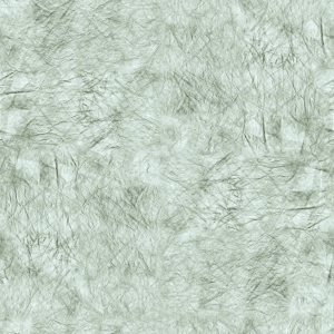 ModernBump Black And White