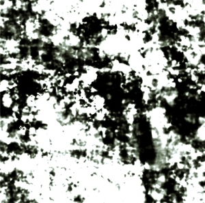 ModernBump Black And White