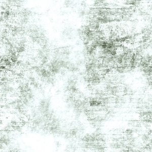 ModernBump Black And White