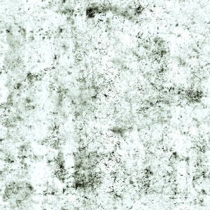 ModernBump Black And White