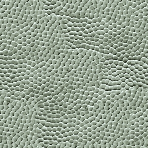 ModernBump Black And White