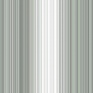 ModernBump Black And White