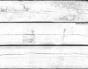 ModernBump Black And White