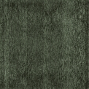 ModernWood Texture