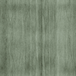 ModernWood Texture