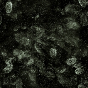 ModernBump Black And White