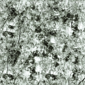 ModernBump Black And White