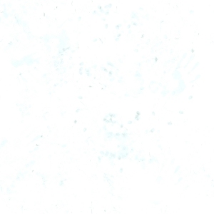 ModernBump Black And White