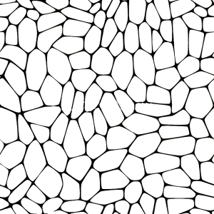 ModernBump Black And White