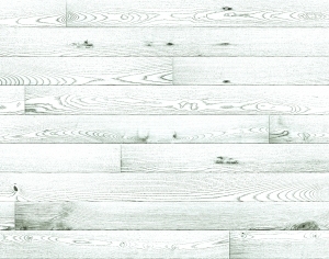 ModernBump Black And White