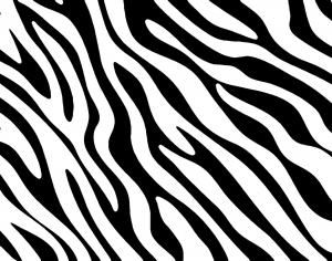 ModernBump Black And White