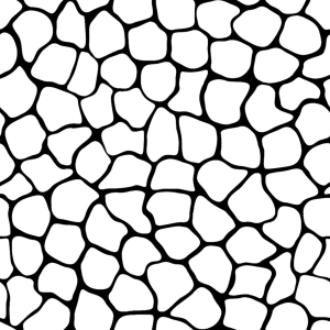 ModernBump Black And White