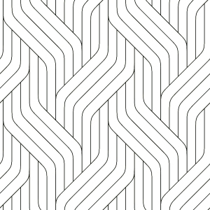 ModernBump Black And White