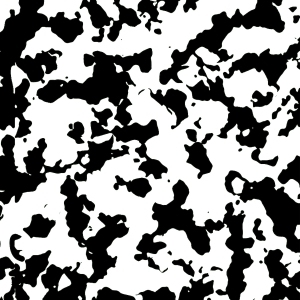 ModernBump Black And White