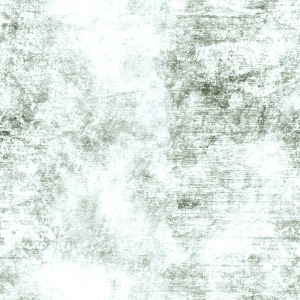 ModernBump Black And White