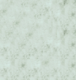 ModernBump Black And White