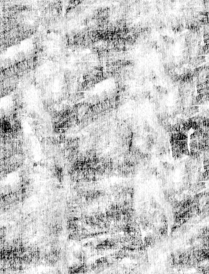 ModernBump Black And White