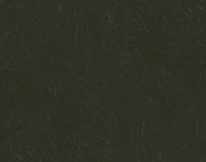 ModernBump Black And White