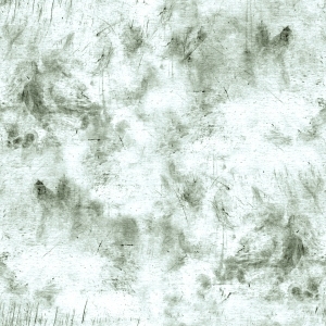 ModernBump Black And White