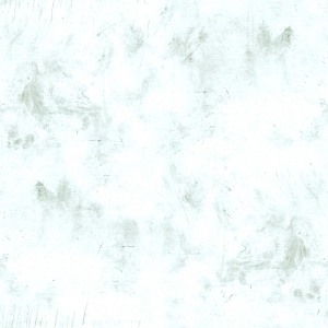 ModernBump Black And White