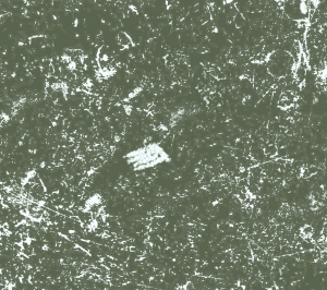 ModernBump Black And White