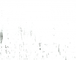 ModernBump Black And White