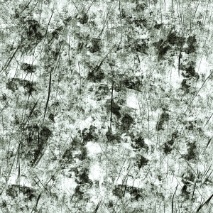 ModernBump Black And White