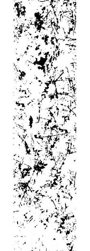 ModernBump Black And White