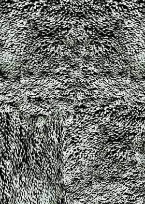 ModernBump Black And White