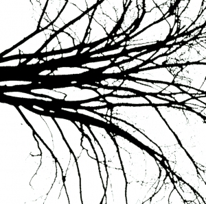 Chinese StyleBump Black And White