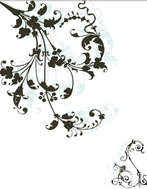 Chinese StyleBump Black And White