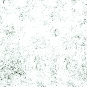 ModernBump Black And White