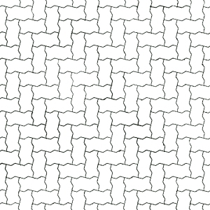 ModernBump Black And White