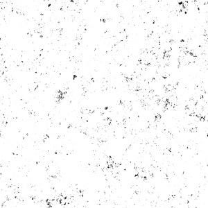 ModernBump Black And White