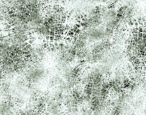 ModernBump Black And White