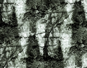 ModernBump Black And White