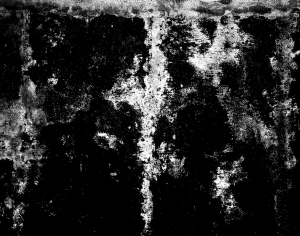 ModernBump Black And White