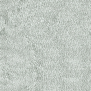 ModernBump Black And White