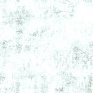 ModernBump Black And White