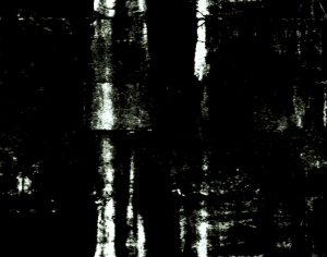 ModernBump Black And White