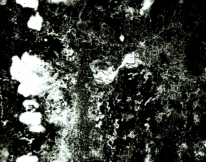 ModernBump Black And White