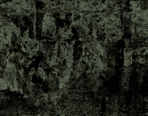 ModernBump Black And White