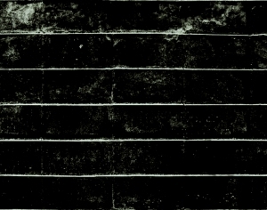 ModernBump Black And White