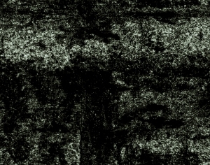 ModernBump Black And White