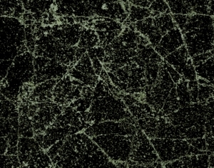 ModernBump Black And White