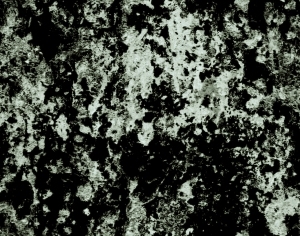 ModernBump Black And White