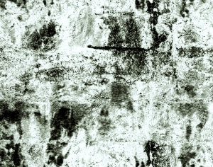 ModernBump Black And White