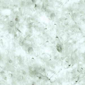 ModernBump Black And White