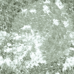 ModernBump Black And White