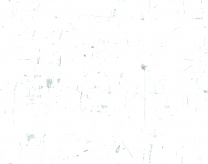 ModernBump Black And White